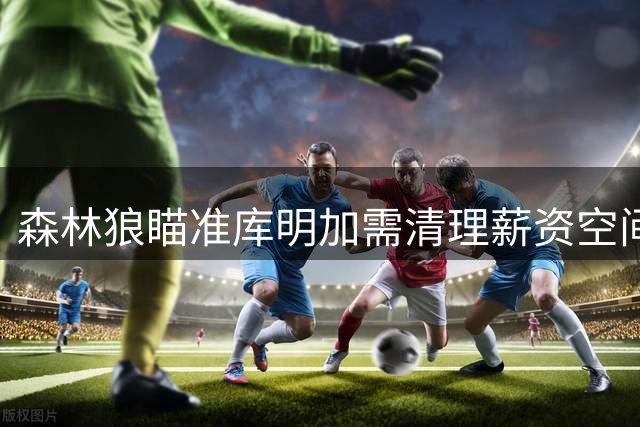 森林狼瞄准库明加需清理薪资空间