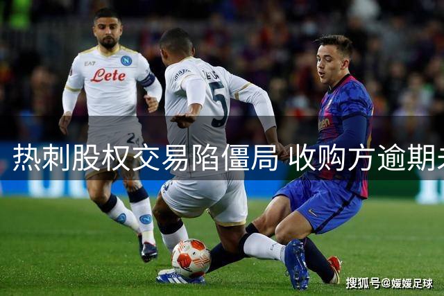 热刺股权交易陷僵局 收购方逾期未付款引质疑