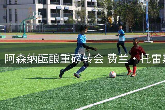 阿森纳酝酿重磅转会 费兰·托雷斯或成枪手新目标